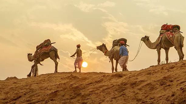 Explore Pushkar’s Unique Camel and Horse Safaris